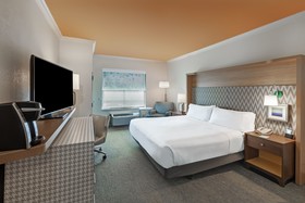 Holiday Inn Hotel & Suites Mckinney-Fairview
