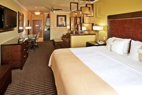 Holiday Inn Hotel & Suites Mckinney-Fairview