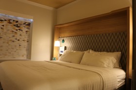 Holiday Inn Hotel & Suites Mckinney-Fairview