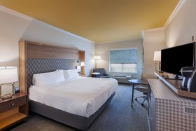 Holiday Inn Hotel & Suites Mckinney-Fairview