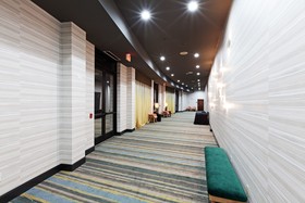 Holiday Inn Hotel & Suites Mckinney-Fairview