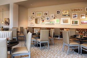 Sheraton Mckinney Hotel