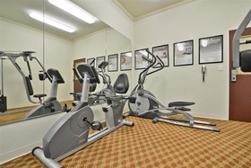 Best Western Limestone Inn & Suites