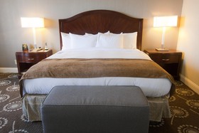 Wyndham Midland Downtown