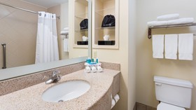 Holiday Inn Express Hotel & Suites Midland Loop 250