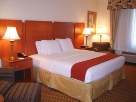 Holiday Inn Express Hotel & Suites Midland Loop 250