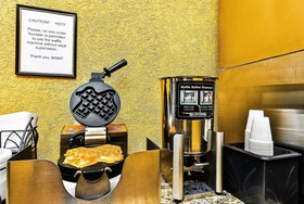 Microtel Inn & Suites by Wyndham New Braunfels