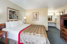 Vivo Living New Braunfels