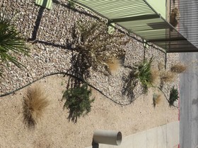 Howard Johnson by Wyndham Odessa TX