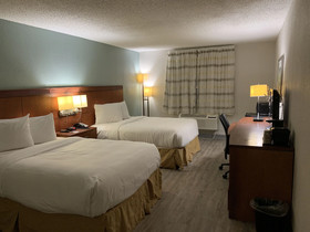 The Hotel Orange