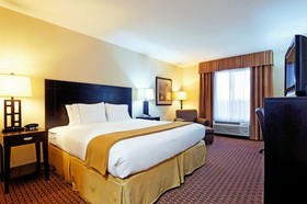 Holiday Inn Express Hotel & Suites Ozona