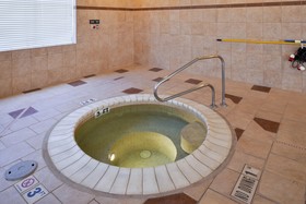 Hampton Inn Pecos