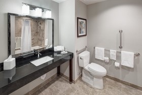 Courtyard Dallas Plano/Richardson