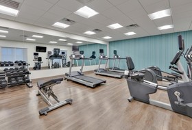 Holiday Inn Express & Suites Plano East