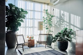 NYLO Dallas Plano Hotel, Tapestry Collection by Hilton
