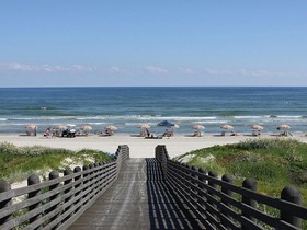 Cinnamon Shore