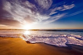 Cinnamon Shore