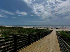 Cinnamon Shore