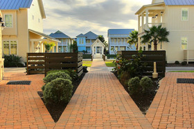 Cinnamon Shore