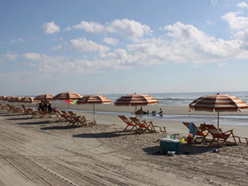 Cinnamon Shore