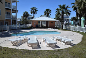 Paradise Palms