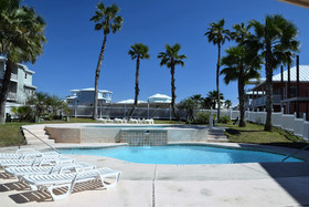 Paradise Palms