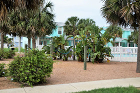 The Commons