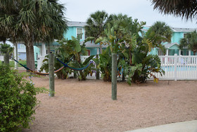 The Commons