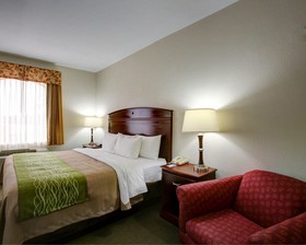 Quality Inn Rockdale