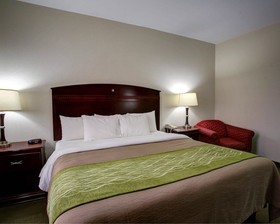Quality Inn Rockdale