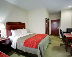 Quality Inn Rockdale