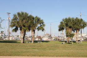 Harbour Inn