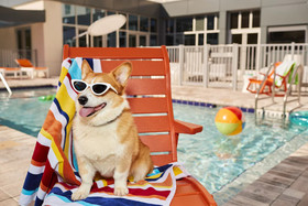 Aloft Austin Round Rock