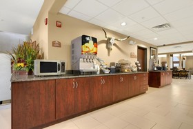 Microtel Inn & Suites by Wyndham Round Rock