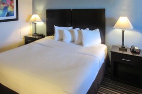 Quality Inn & Suites - Round Rock