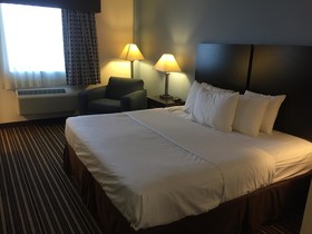 Quality Inn & Suites - Round Rock