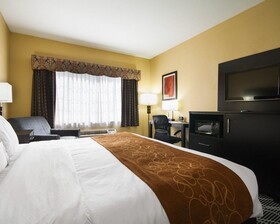 Comfort Suites Lake Ray Hubbard