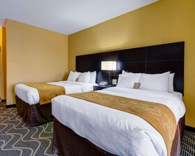 Comfort Suites Lake Ray Hubbard