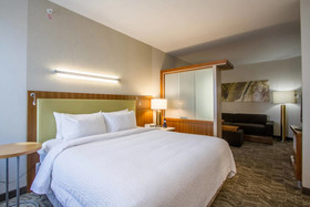 SpringHill Suites by Marriott San Angelo