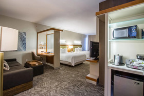 SpringHill Suites by Marriott San Angelo