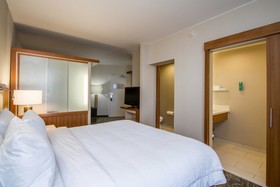 SpringHill Suites by Marriott San Angelo