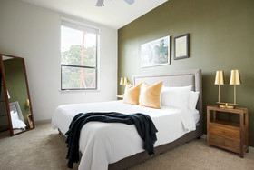 Agave by Sonder