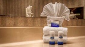 Best Western Plus Hill Country Suites