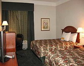 Comfort Inn & Suites Near Six Flags & Medical Center