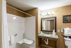 Comfort Suites Alamo/Riverwalk