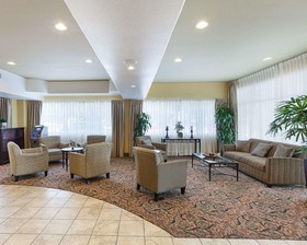 Comfort Suites Medical Center Near Six Flags