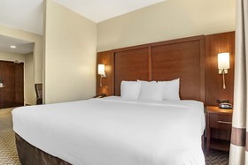 Comfort Suites Medical Center Near Six Flags