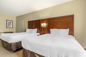 Comfort Suites Medical Center Near Six Flags