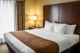 Comfort Suites Near Seaworld