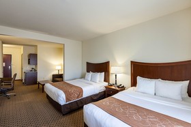 Comfort Suites Stone Oak